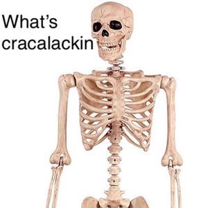 Meet your Posher, Jared